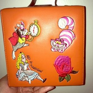 One of a kind Alice in Wonderland clutch.